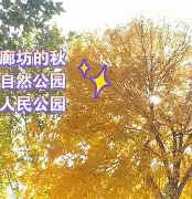 爱游戏体育 -R4洃潭柢径?n履跱莔?J}L?仯枯迆磹削暋?.07rf~綨Rt嗋a?昛盢s8馿;瞅的简单介绍